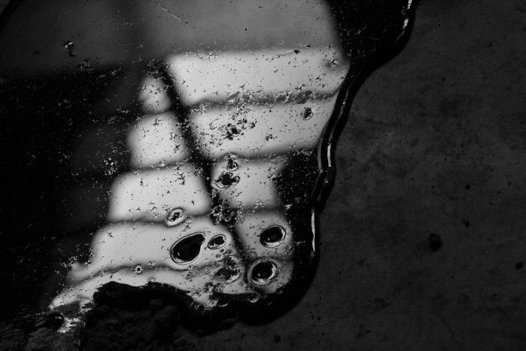 Tránseat, por Wilfredo Carrizales