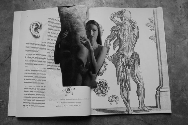 El cuerpo: esa armadura en ofrecimiento, por Wilfredo Carrizales
