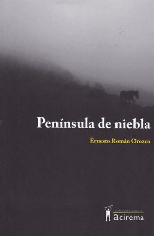 “Península de niebla”, de Ernesto Román Orozco