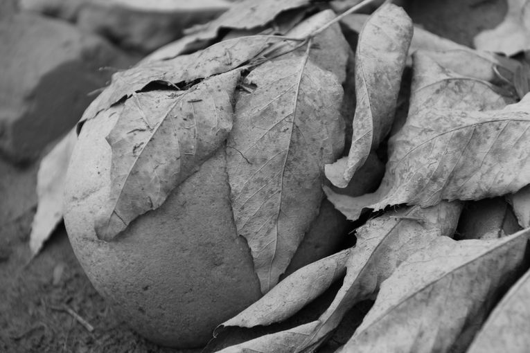 Por separado, aunque una sola relación, por Wilfredo Carrizales