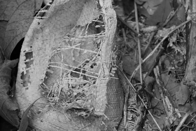 Por separado, aunque una sola relación, por Wilfredo Carrizales