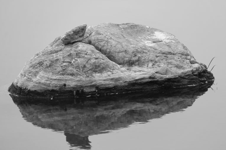 Por separado, aunque una sola relación, por Wilfredo Carrizales