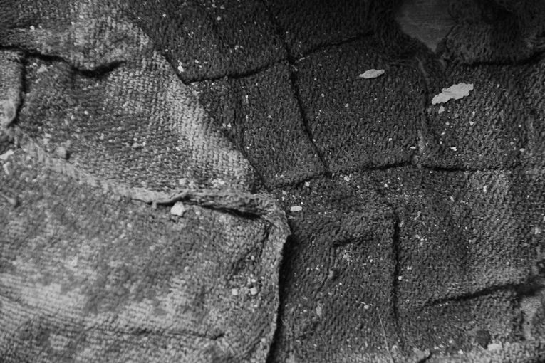 Recuadros, por Wilfredo Carrizales