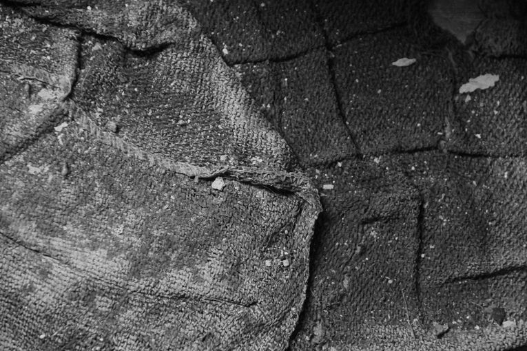 Recuadros, por Wilfredo Carrizales