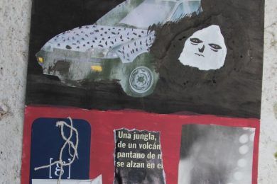 Junglas en la mente y otras espesuras, por Wilfredo Carrizales