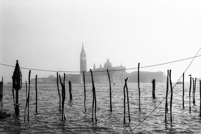 Venecia