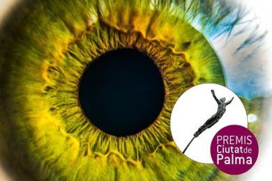Premi Ciutat de Palma Antoni Gelabert de Artes Visuales 2020