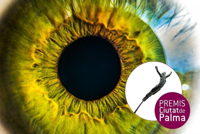 Premi Ciutat de Palma Antoni Gelabert de Artes Visuales 2020