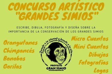 I Concurso Artístico “Grandes Simios”