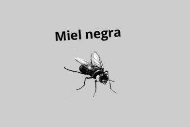 “Miel negra”, de Franklin Hurtado