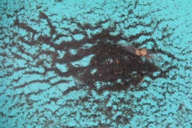 Sólo sedimentos, por Wilfredo Carrizales