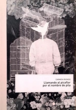 “Llamando al picaflor por el nombre de pila”, de Carmen Iriondo
