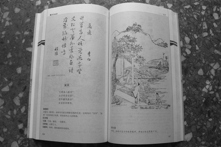 Paisaje de verano, por Li Bai
