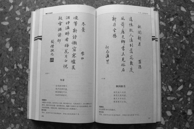 Paisaje de invierno, por Li Bai