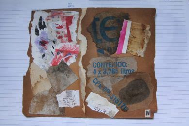 Contenidos, por Wilfredo Carrizales