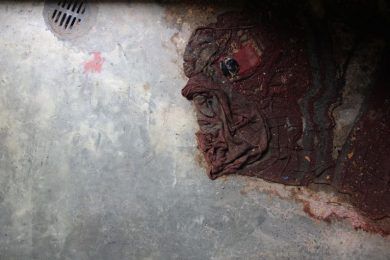 Tras el rostro que emerge: desconocidos arcanos, por Wilfredo Carrizales