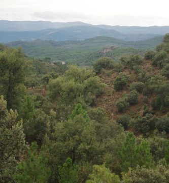 La tierra (entre Higueras y Pavías), por Vicente Adelantado Soriano