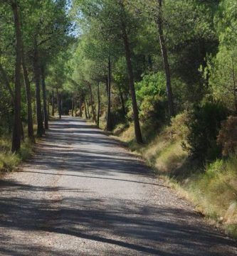 El tiempo, por Vicente Adelantado Soriano