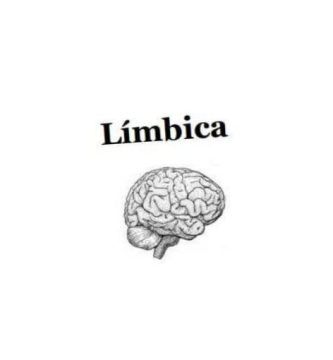 “Límbica”, de Vanesa Almada Noguerón
