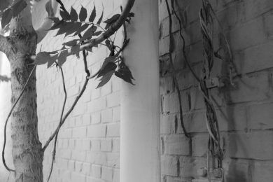 Si sostiene ya es algo, por Wilfredo Carrizales