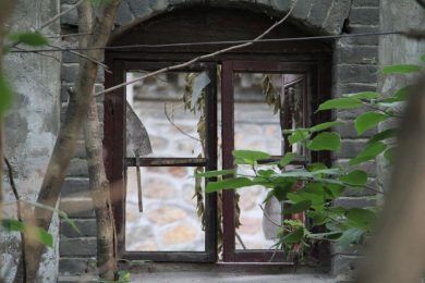 Casa de verano con nostalgia, por Wilfredo Carrizales