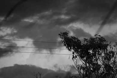 Del aire como taumaturgia, por Wilfredo Carrizales