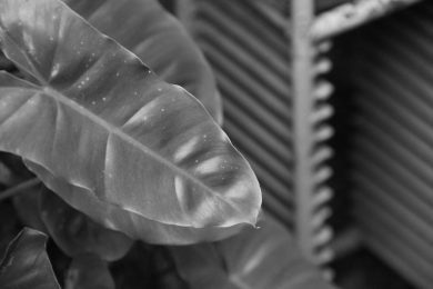 Aquellas cosas ocultas, por Wilfredo Carrizales