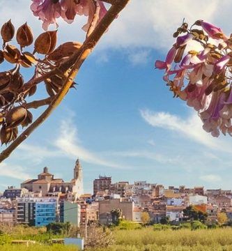 XV Premios literarios Constantí 2021 - Relatos de Patrimonio Natural