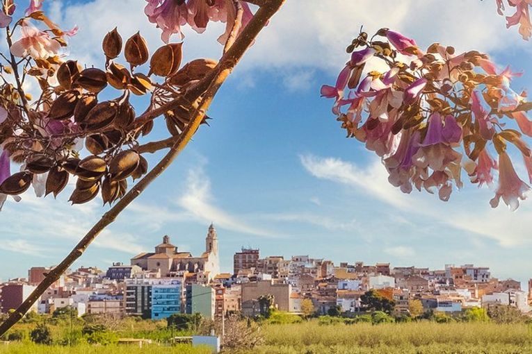 XV Premios literarios Constantí 2021 - Relatos de Patrimonio Natural