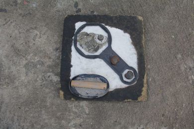 Indagaciones o erotemas, por Wilfredo Carrizales