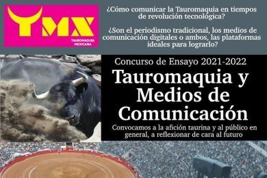 2° Concurso de Ensayo de TMX