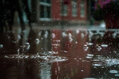 Llueve, lluvia esperada, por José Ruiz Guirado