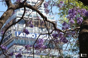 Fotografía de Moisés Rodríguez Gallardo