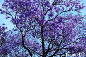 Fotografía de Jorge Puente Nieves