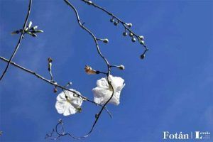 Fotografía de Gabriel Hetzael Galicia Villanueva