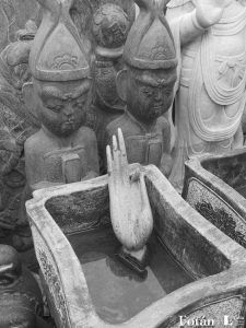 Amalgamas, por Wilfredo Carrizales