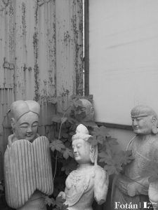 Amalgamas, por Wilfredo Carrizales