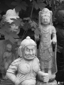 Amalgamas, por Wilfredo Carrizales