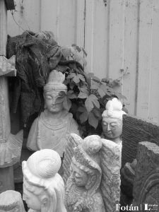 Amalgamas, por Wilfredo Carrizales