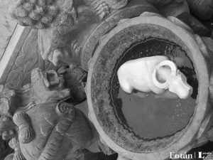 Amalgamas, por Wilfredo Carrizales