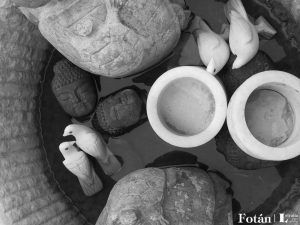 Amalgamas, por Wilfredo Carrizales