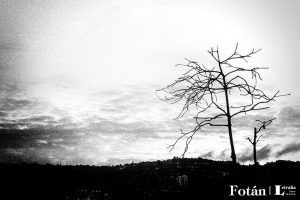 negole_despropositosdeunaciudaderrante_01