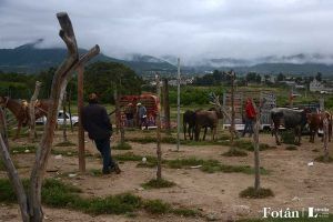 El baratillo, plasticidad visual, por Verónica Almanza Beltrán