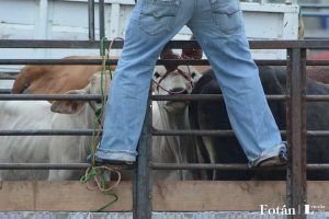 El baratillo, plasticidad visual, por Verónica Almanza Beltrán