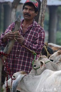 El baratillo, plasticidad visual, por Verónica Almanza Beltrán