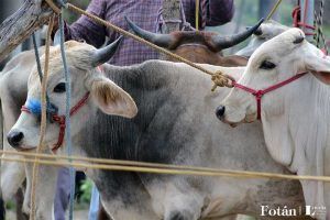 El baratillo, plasticidad visual, por Verónica Almanza Beltrán