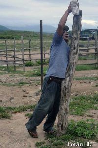 El baratillo, plasticidad visual, por Verónica Almanza Beltrán