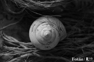 Espirales, por Wilfredo Carrizales