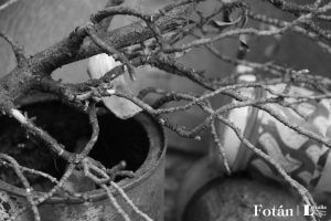 Estructuras, configuraciones, fotografías de Wilfredo Carrizales
