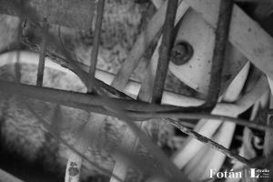 Estructuras, configuraciones, fotografías de Wilfredo Carrizales